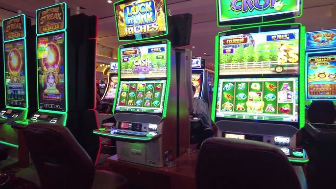 Inside the World of Online Reel Gaming Adventures