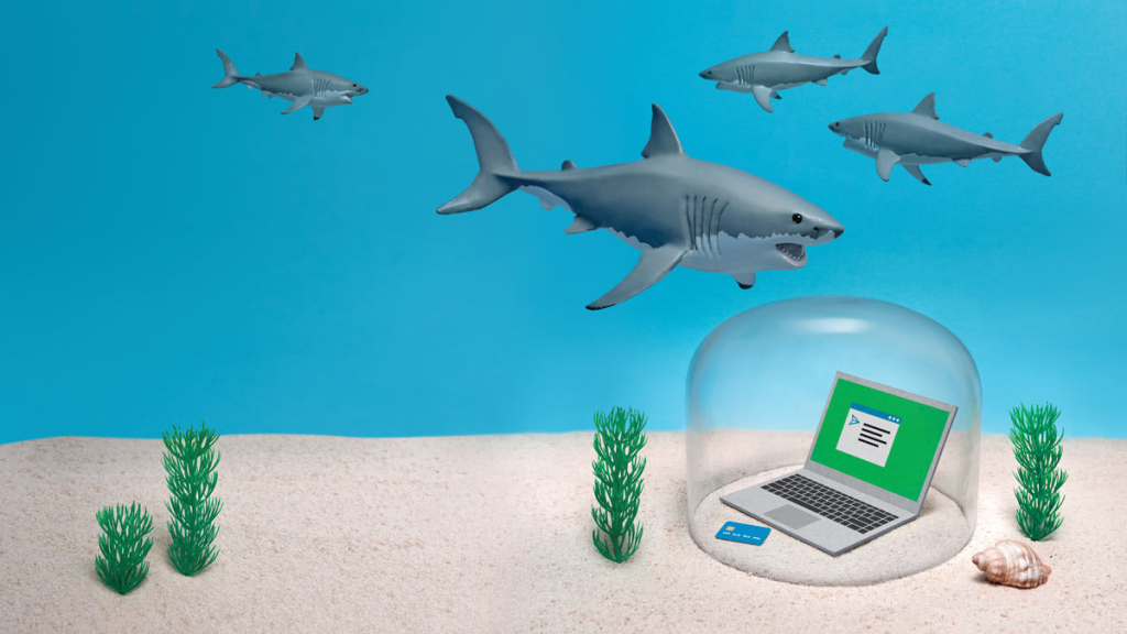 Sharkshop and Online Fraud: Why Data Protection Matters More Than Ever